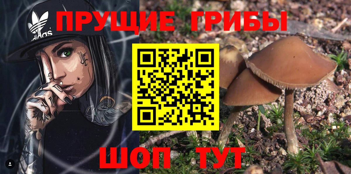 Галлюциногенные грибы Magic Shrooms  Вход с VPN  Аксай 