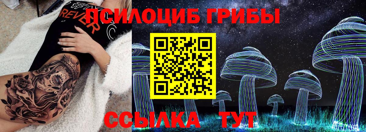 Псилоцибиновые грибы Psilocybe Аксай